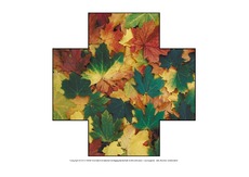Formen-Herbst-C-1-10.pdf